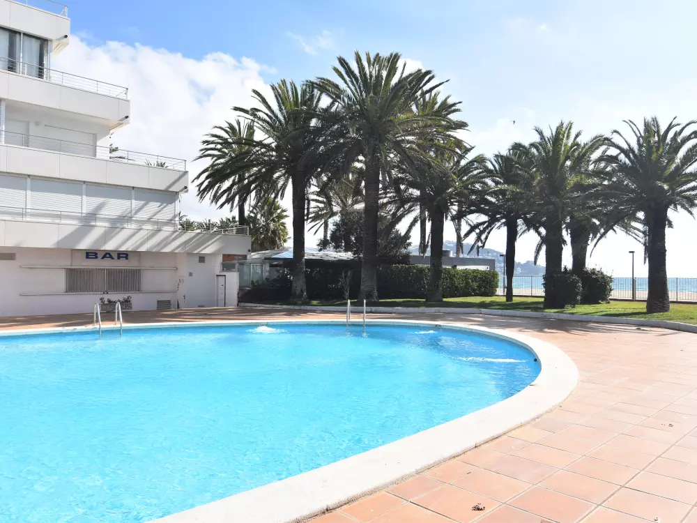 Location de Vacances Roses 579