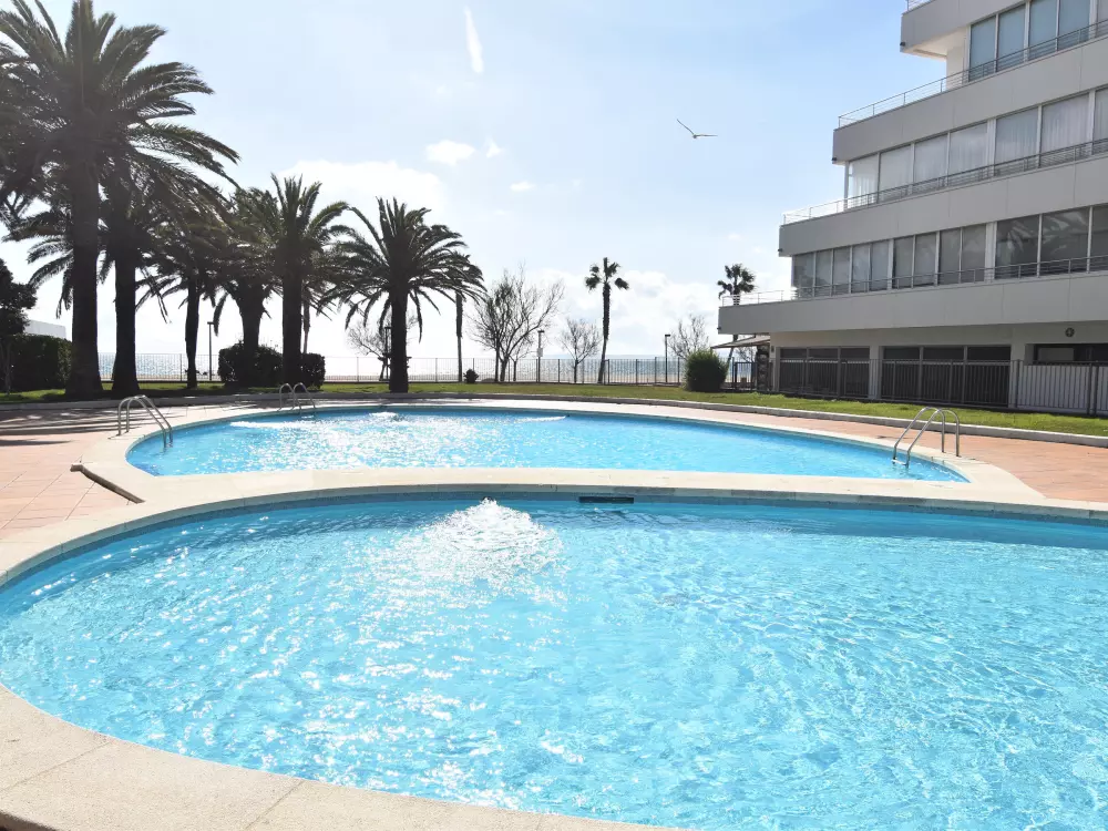 Location de Vacances Roses 579