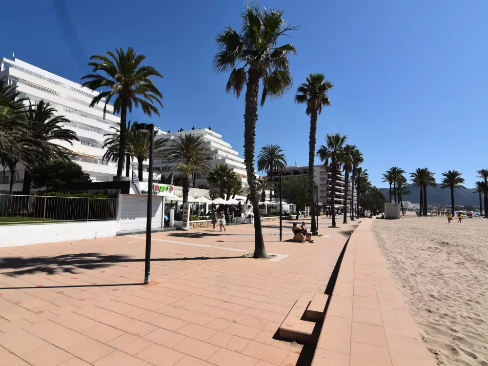 Location de Vacances Roses 579