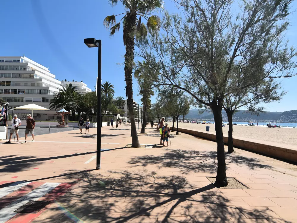 Location de Vacances Roses 579