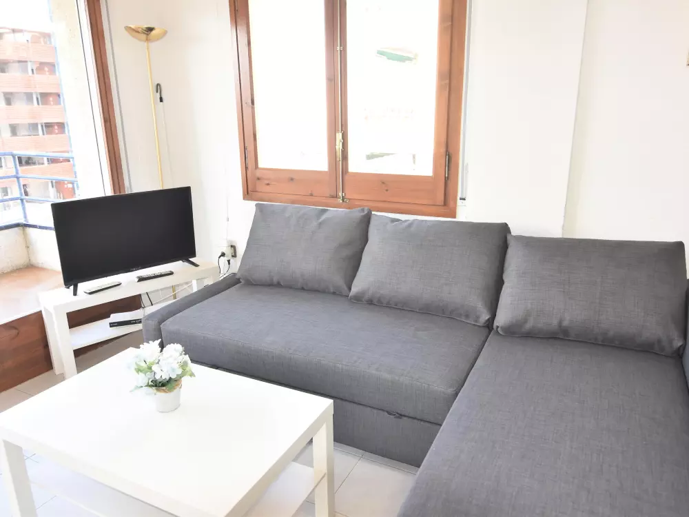 Location de Vacances Roses 588