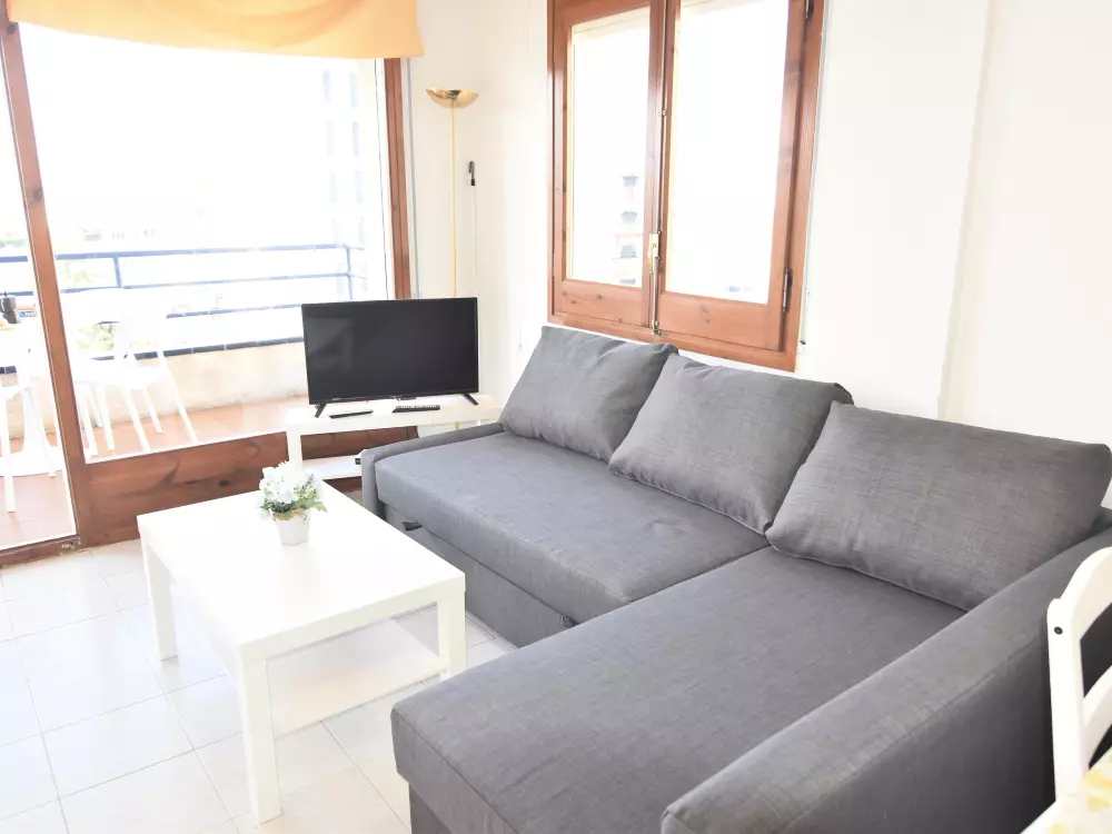 Location de Vacances Roses 588