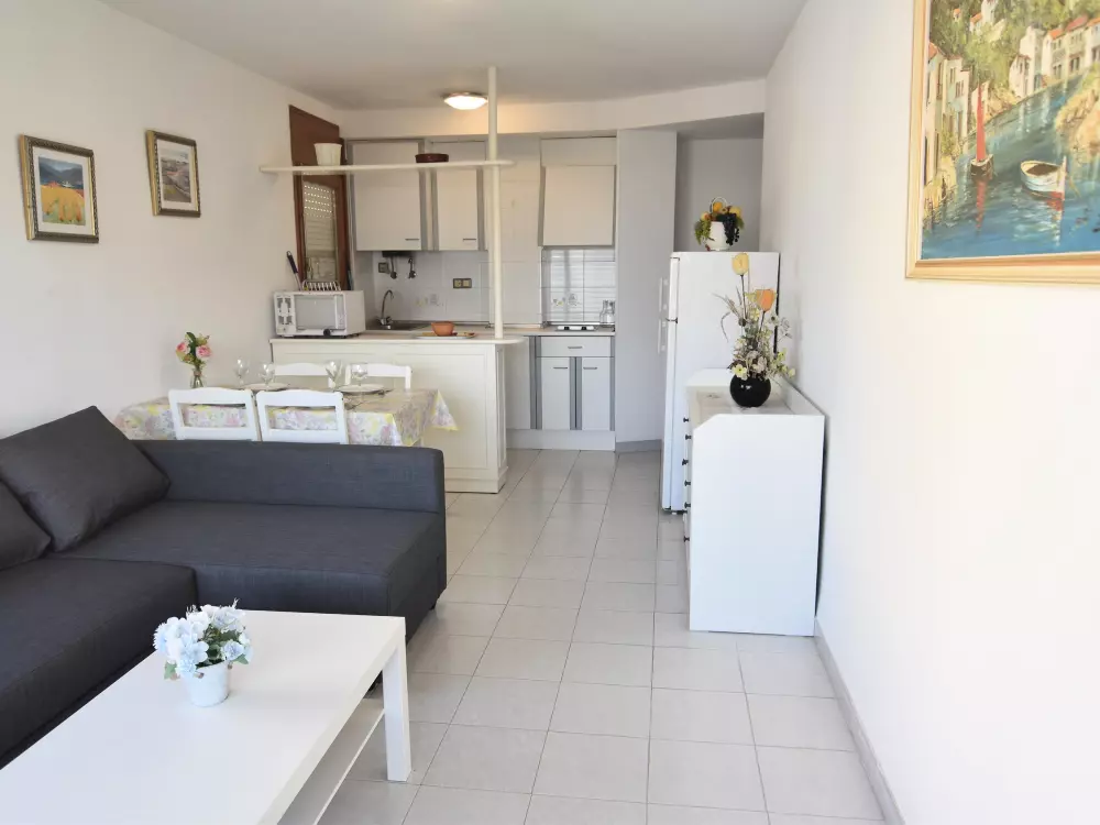 Location de Vacances Roses 588