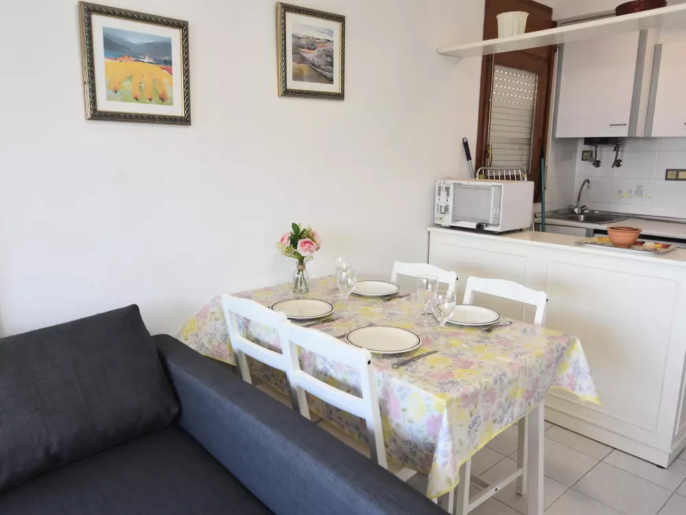 Location de Vacances Roses 588