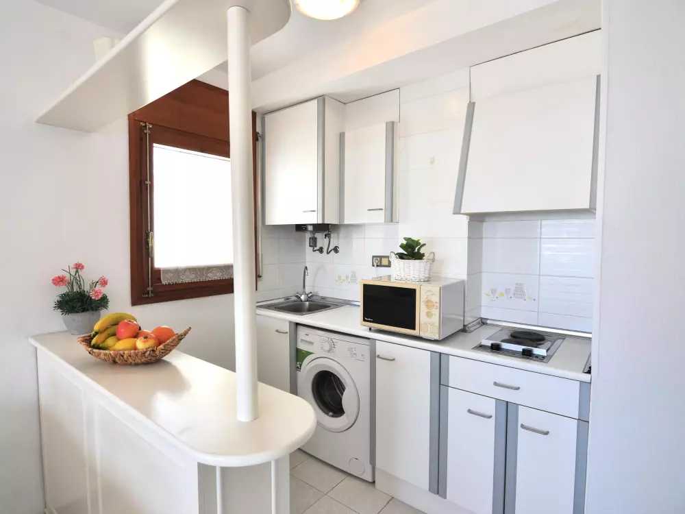 Location de Vacances Roses 588