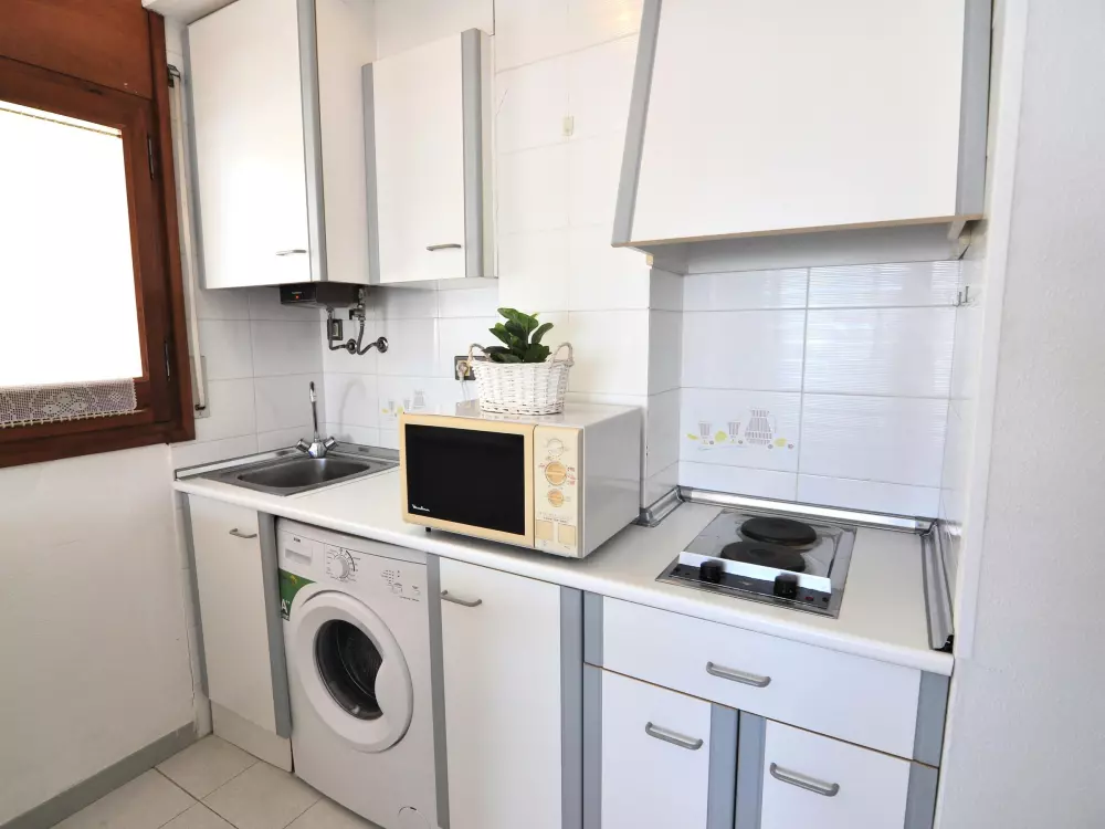 Location de Vacances Roses 588