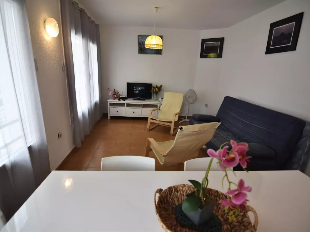 Location de Vacances Roses 591