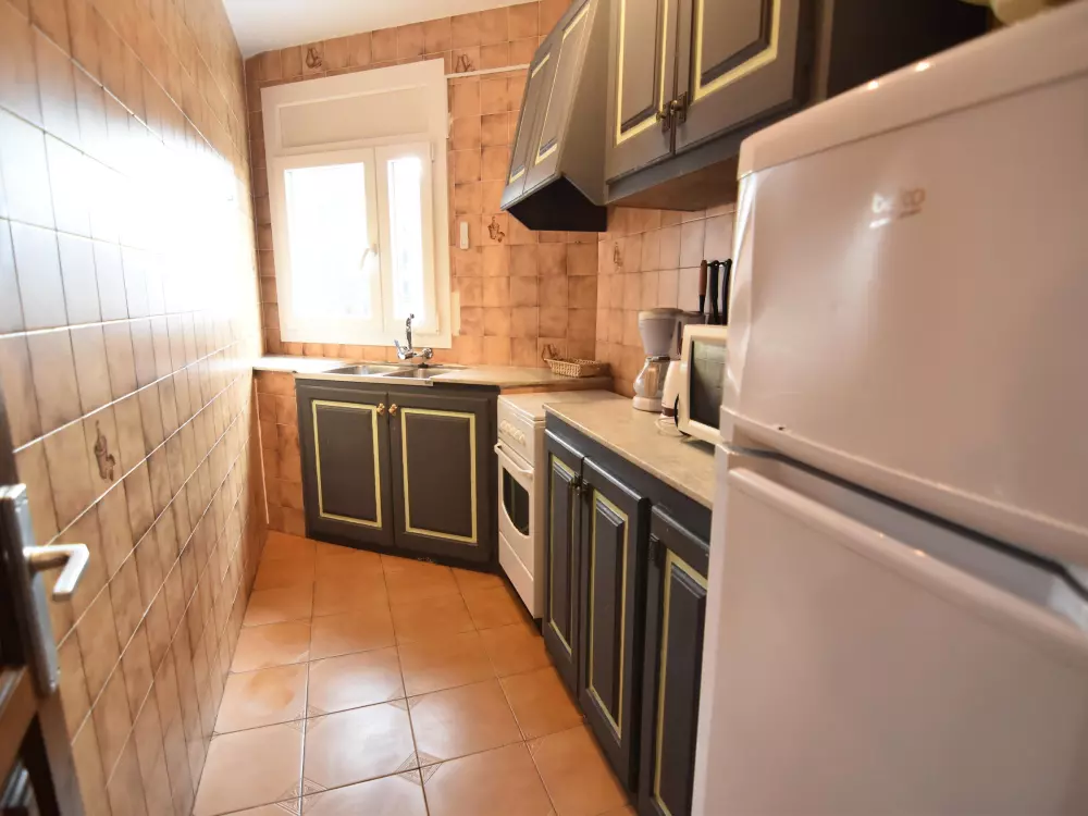 Location de Vacances Roses 591