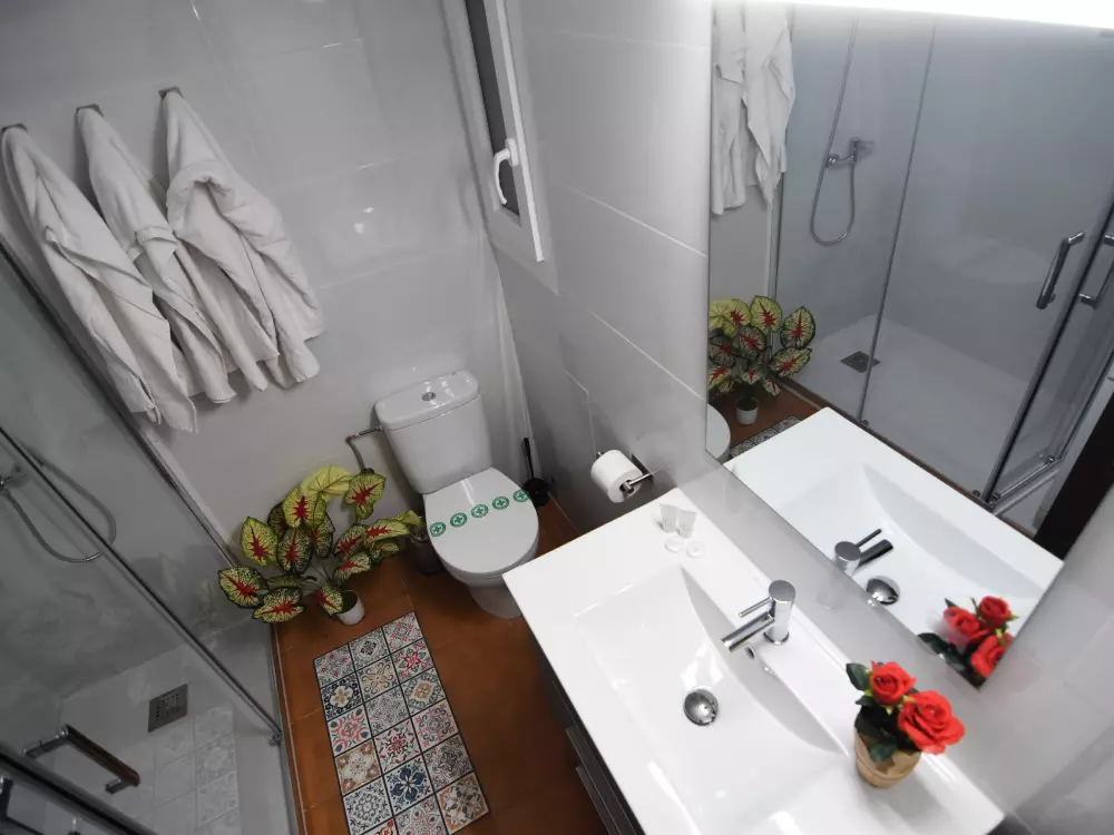 Location de Vacances Roses 591