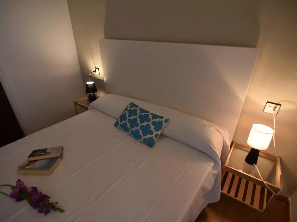 Location de Vacances Roses 591