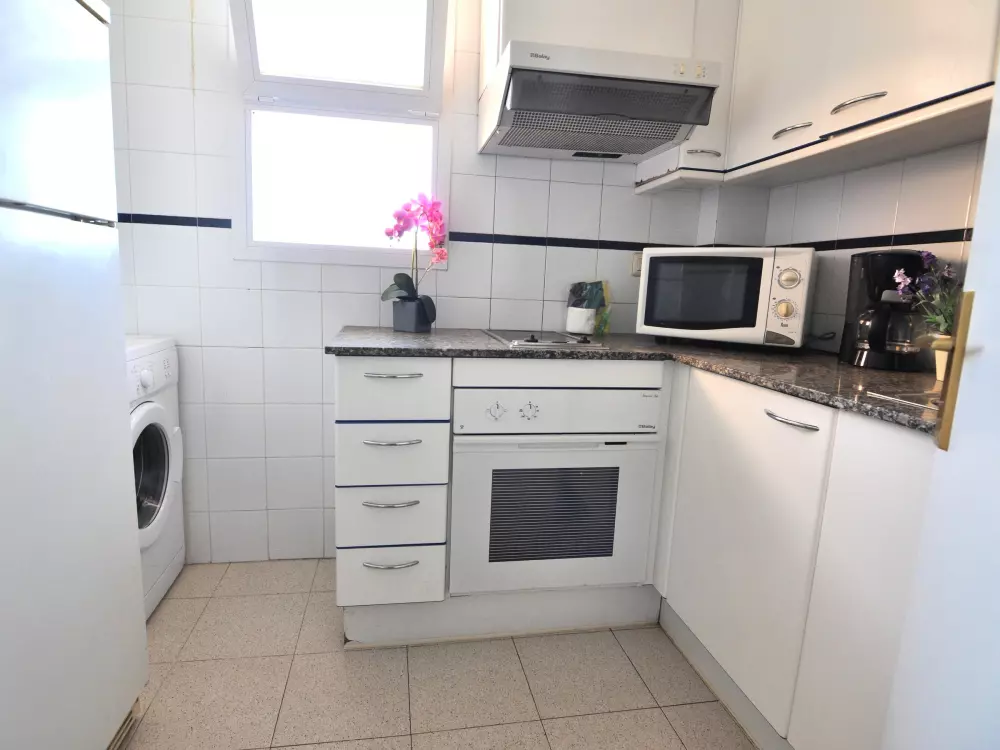 Location de Vacances Roses 597