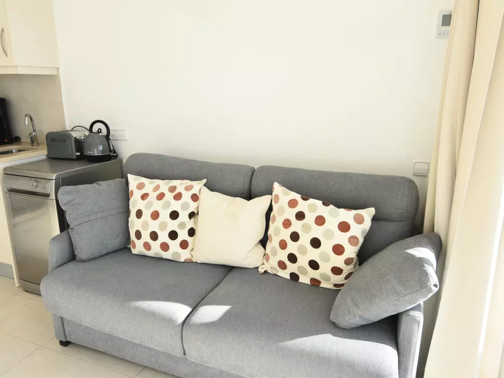 Location de Vacances Roses 609