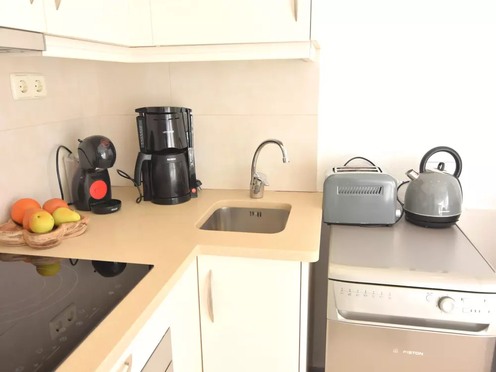 Location de Vacances Roses 609