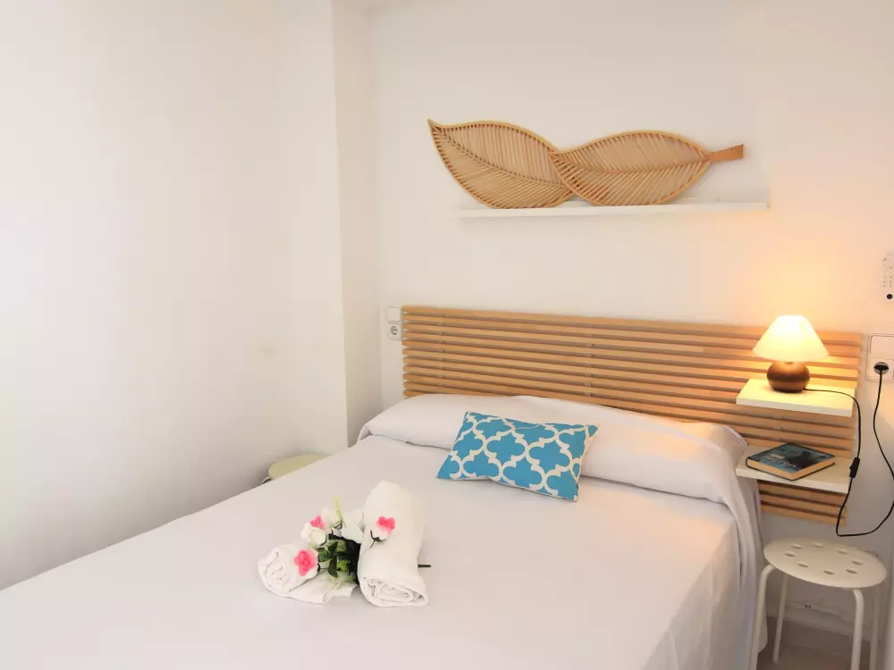 Location de Vacances Roses 609