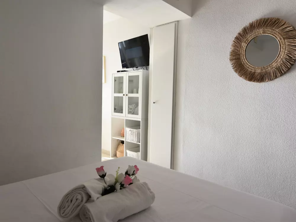 Location de Vacances Roses 609