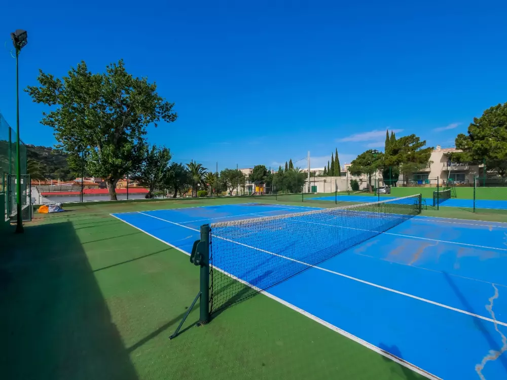 Location de Vacances Roses 720