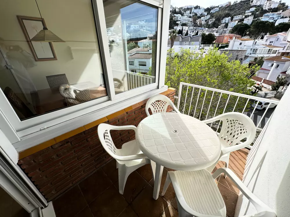 Location de Vacances Roses 737