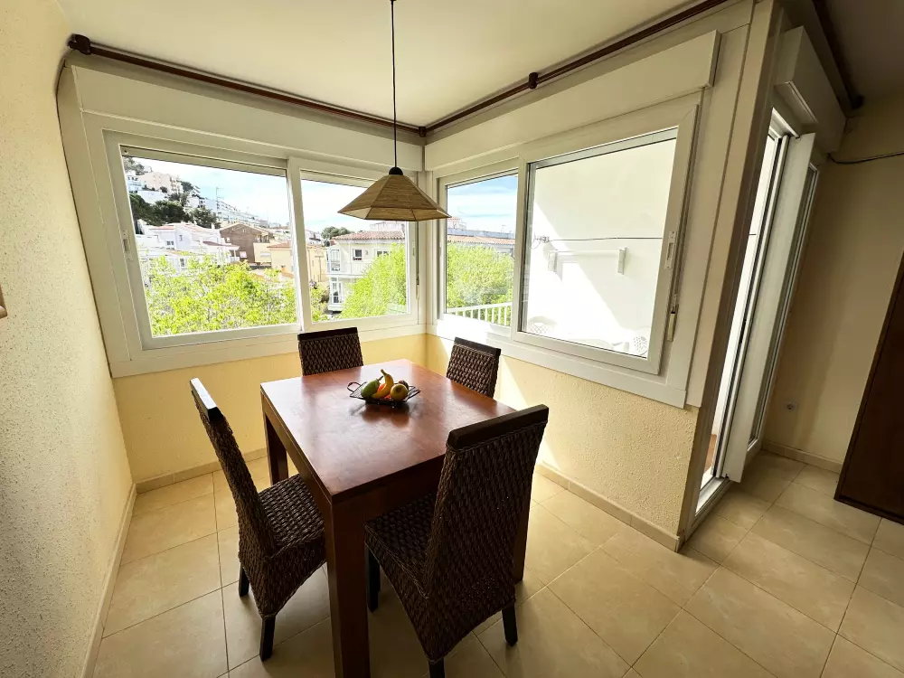 Location de Vacances Roses 737