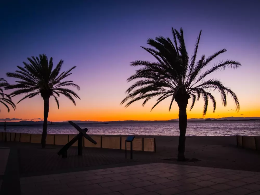 Location de Vacances Roses 737