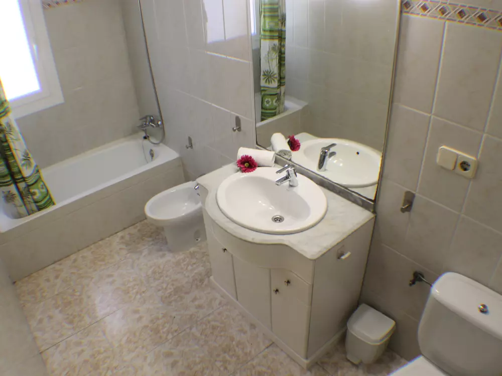 Location de Vacances Roses 837