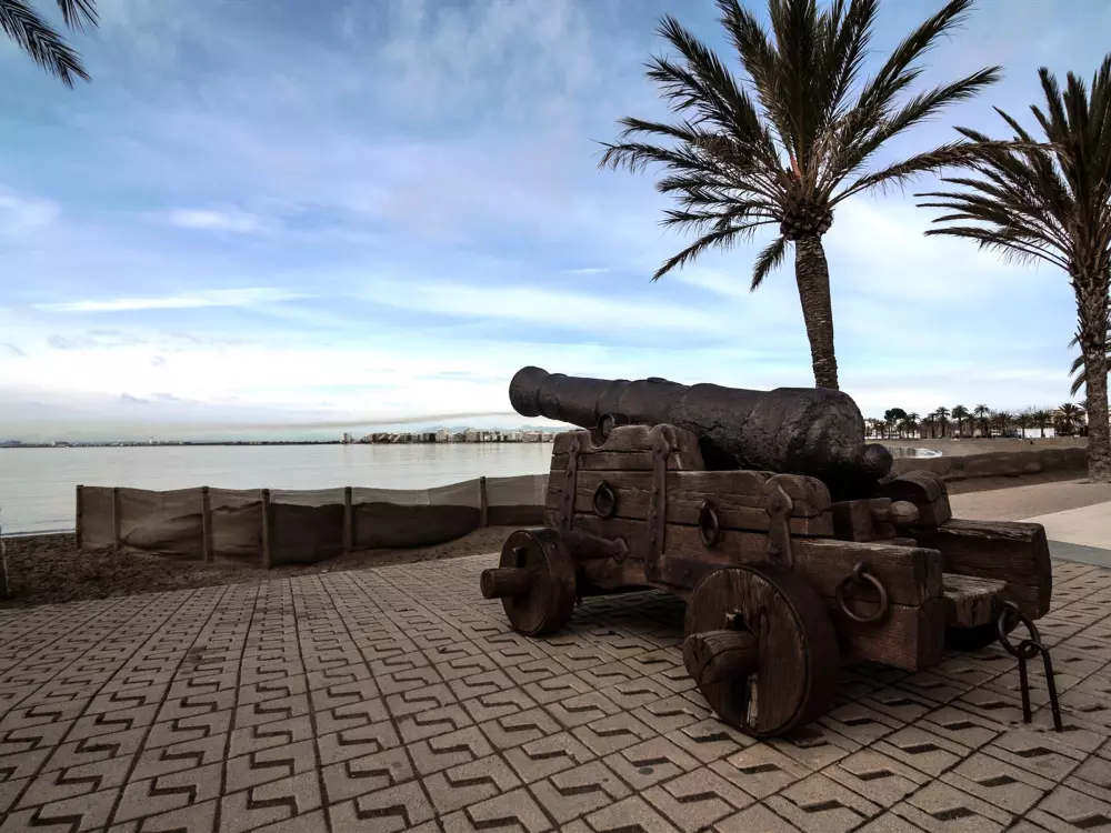 Location de Vacances Roses 837