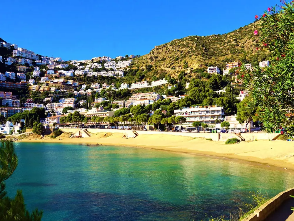 Location de Vacances Roses 871