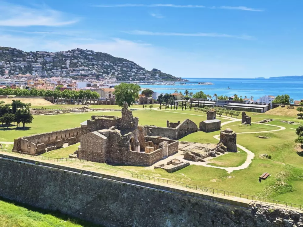 Location de Vacances Roses 871