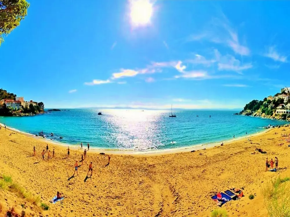 Location de Vacances Roses 871