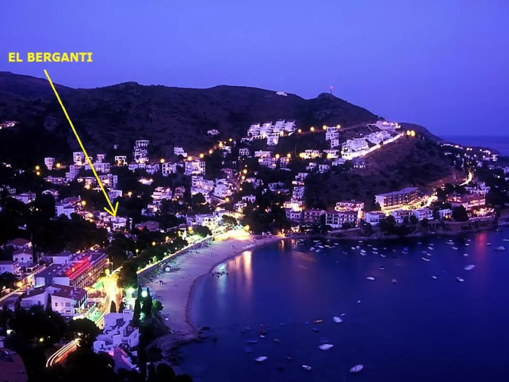 Location de Vacances Roses 871