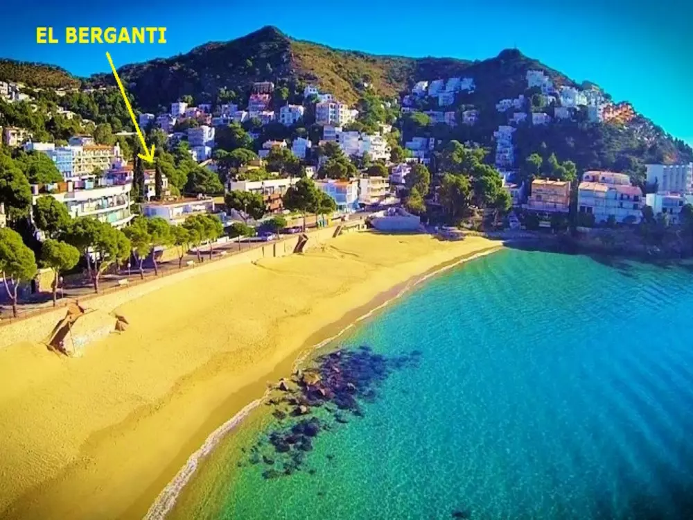 Location de Vacances Roses 871