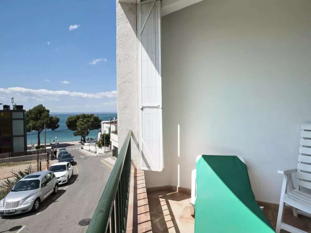 Location de Vacances Roses 871