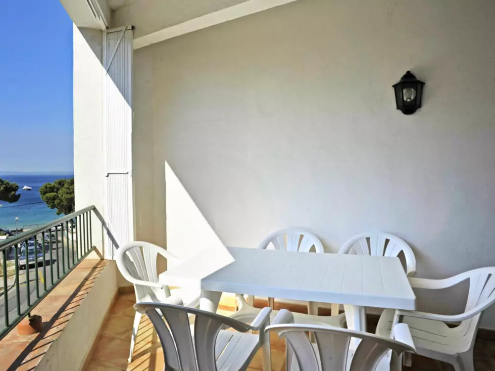 Location de Vacances Roses 871