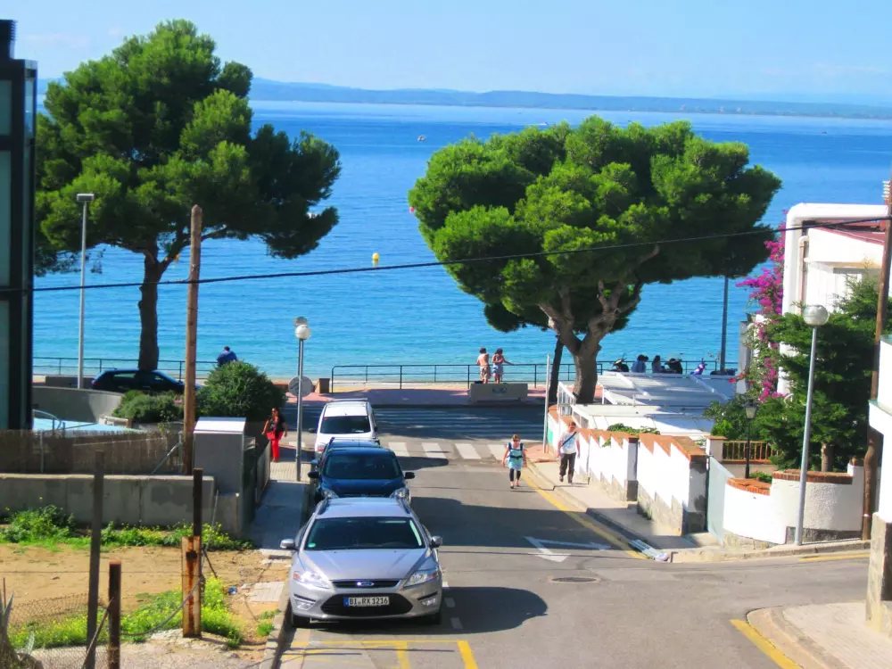 Location de Vacances Roses 871