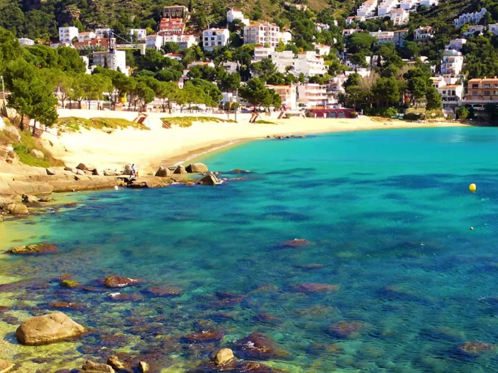 Location de Vacances Roses 871