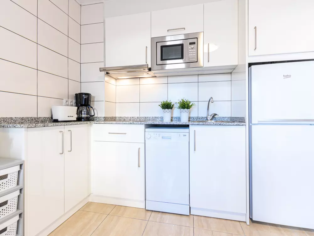 Location de Vacances Roses 957