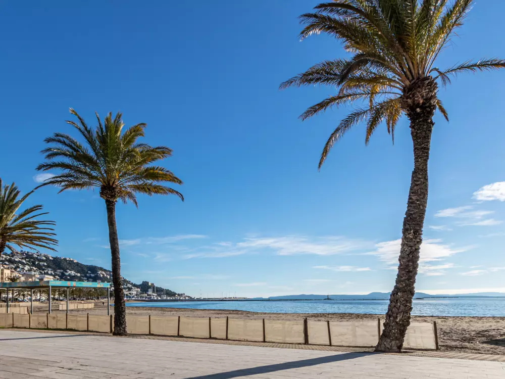 Location de Vacances Roses 957