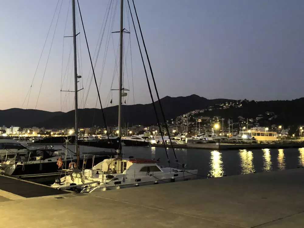 Location de Vacances Roses 957