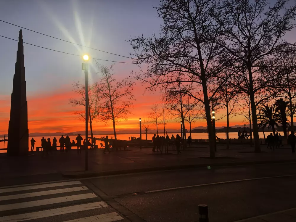 Location de Vacances Roses 957