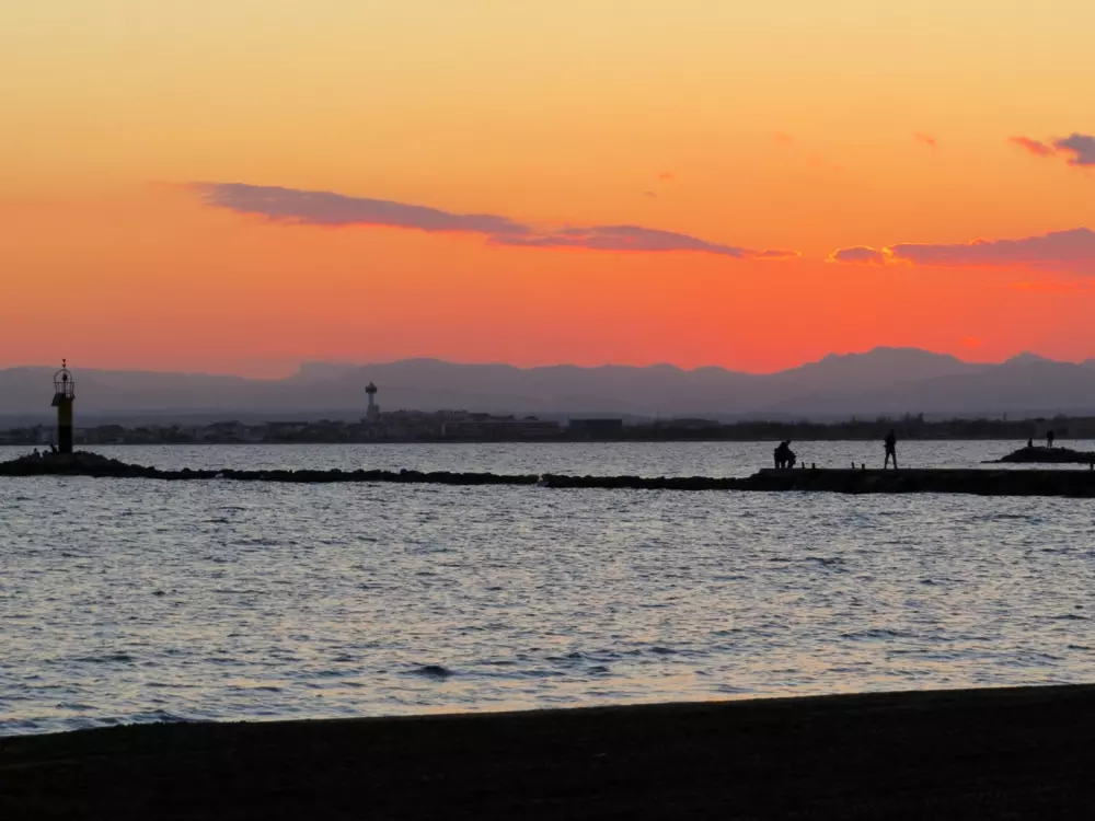 Location de Vacances Roses 957