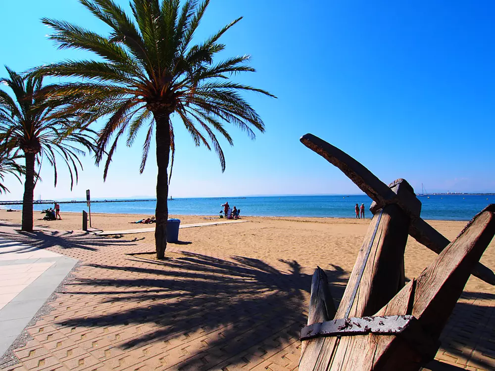 Location de Vacances Roses 957