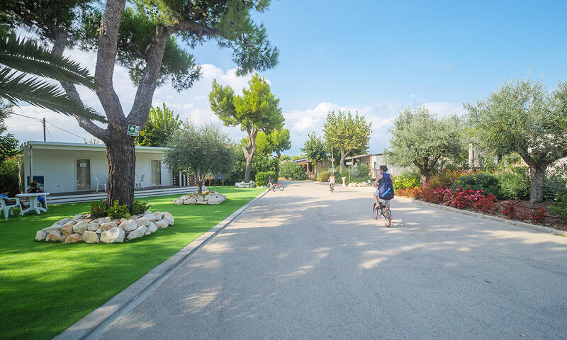 Camping Stork - Roseto degli Abruzzi - 10