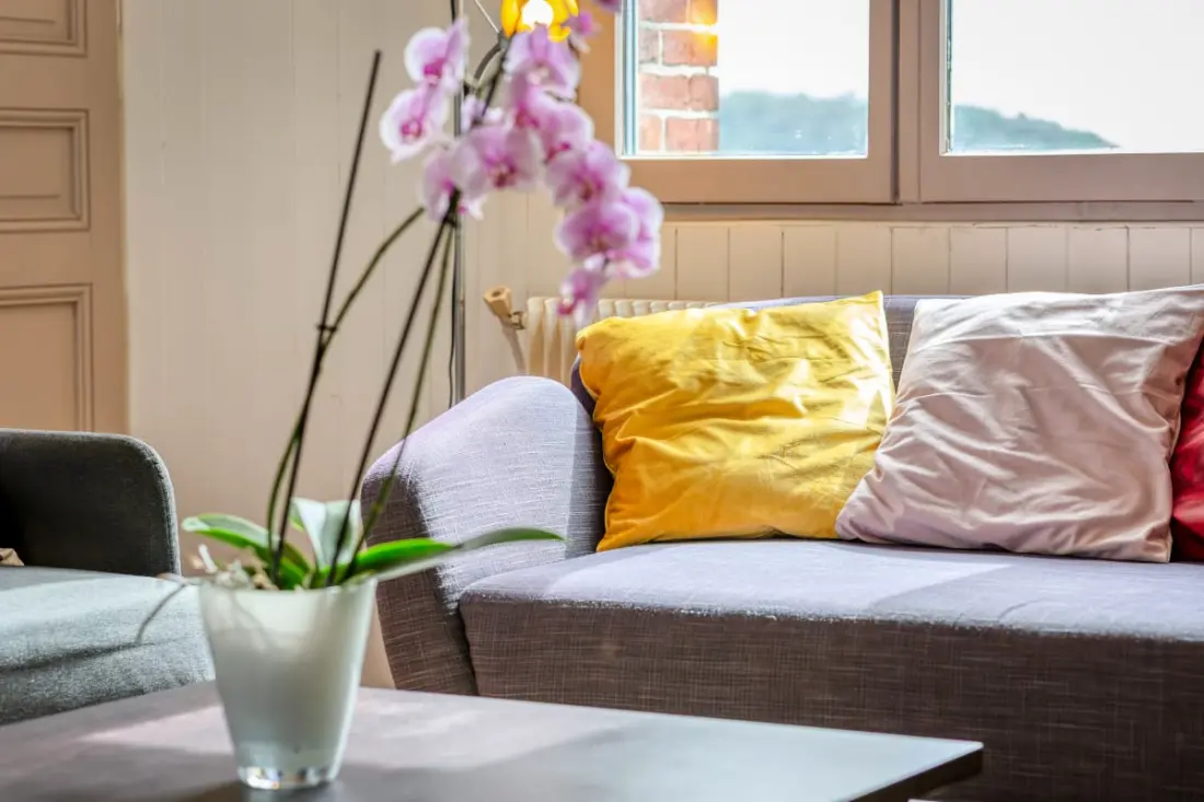 Les Agapanthes, Jolie Maison De Ville à Rouen  Avec Extérieur, Terrasse