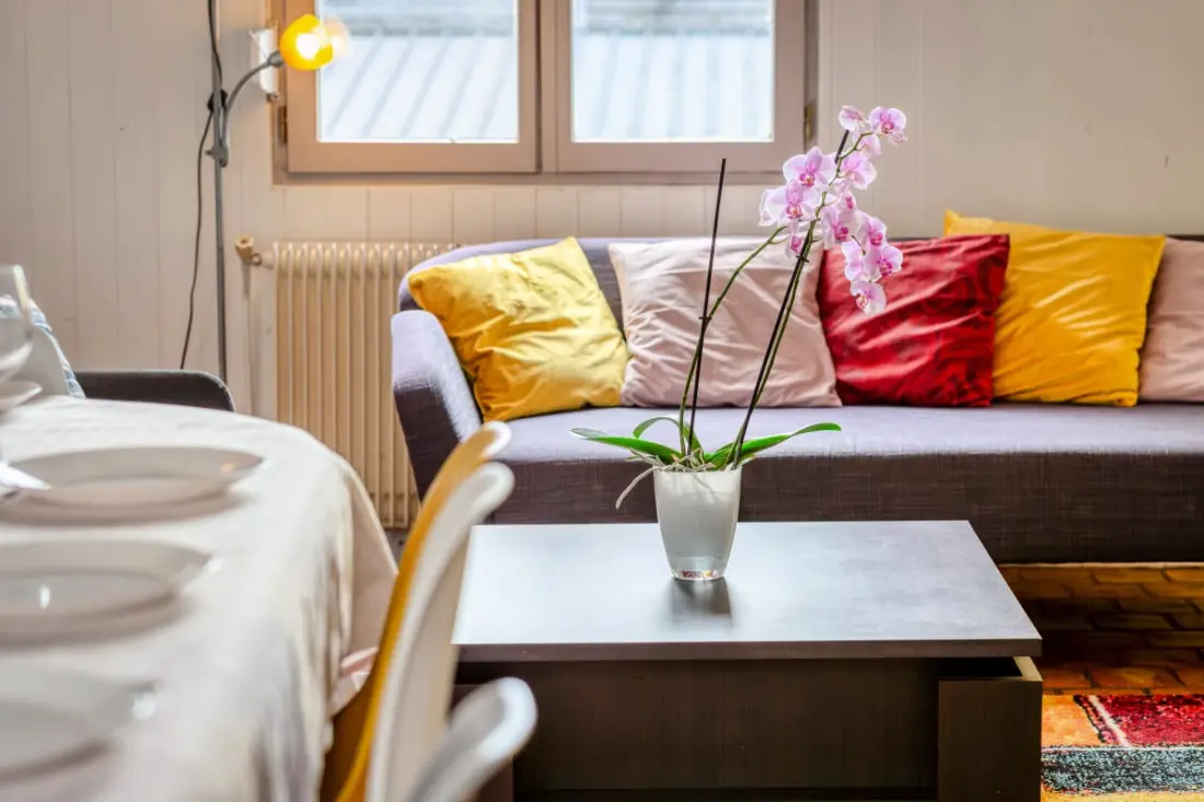 Les Agapanthes, Jolie Maison De Ville à Rouen  Avec Extérieur, Terrasse