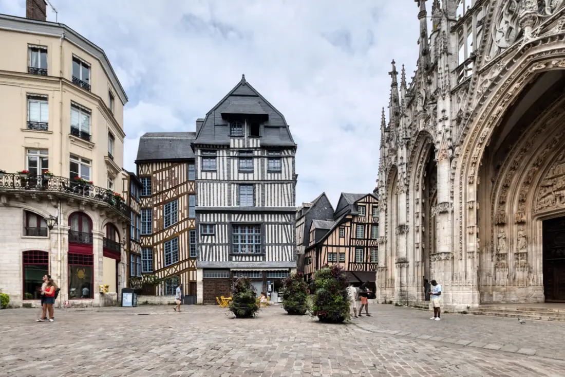 Bienvenue à L’olive, Votre écrin Vert Nature Au Cœur De Rouen.