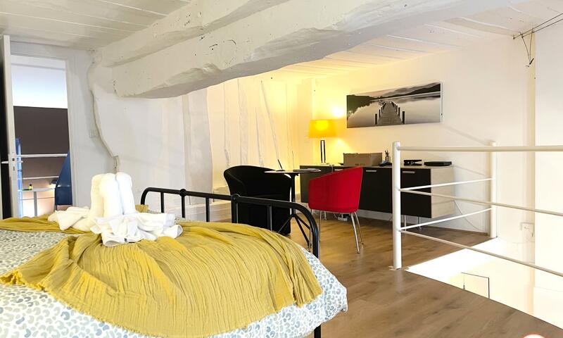 🎨 Le Loft De L'artiste - Parc Hôtel De Ville & Parking - - Rouen - 23