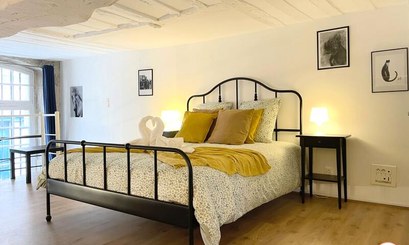 🎨 Le Loft De L'artiste - Parc Hôtel De Ville & Parking - - Rouen - 25