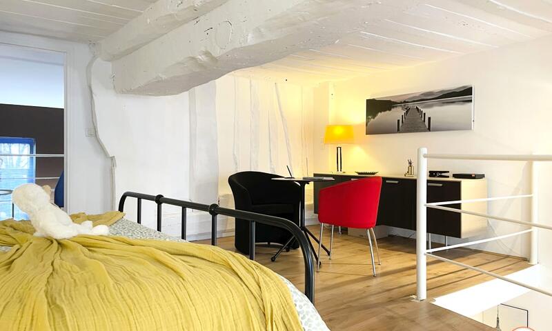 🎨 Le Loft De L'artiste - Parc Hôtel De Ville & Parking - - Rouen - 33