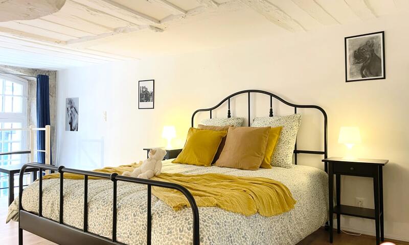 🎨 Le Loft De L'artiste - Parc Hôtel De Ville & Parking - - Rouen - 34