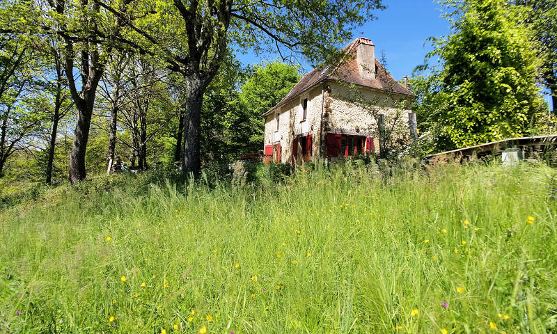 Maison à Rouffignac Saint-Cernin - - Rouffignac Saint-Cernin - 23