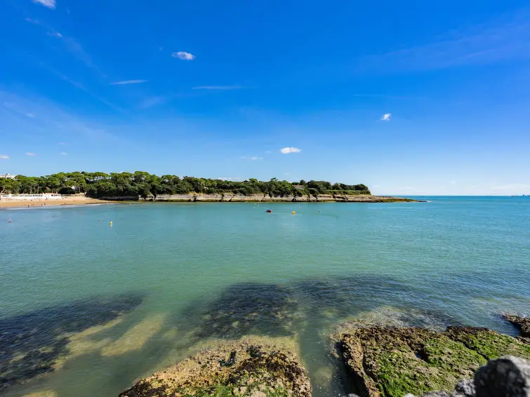 Résidence Les Palatines - - Royan - Saint-palais-sur-mer - 1